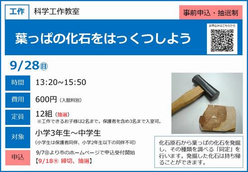 0928‗葉っぱの化石発掘