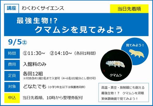 0905_クマムシ