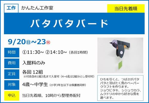 0920-23_パタパタバード