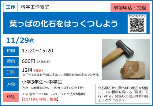 1129葉っぱの化石