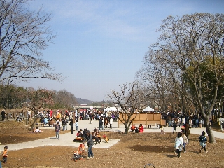 公園全体