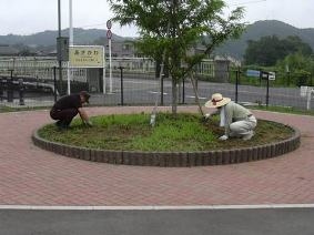 写真駐車場