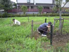 写真樹木まわり