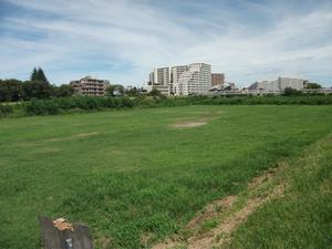 元横山1号河川敷広場 (2).JPG