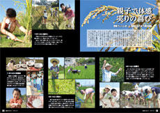 広報「はちおうじ」平成25年12月1日号