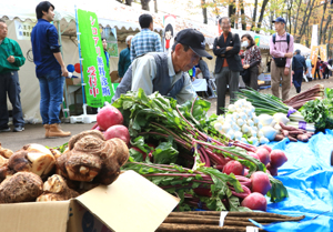 野菜を品定めする来場者