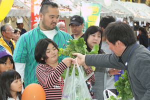 たくさんの野菜を購入