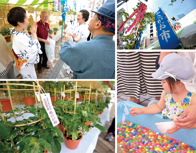 八王子 夏の風物市(あさがお市)