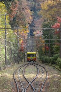 高尾山もみじまつり