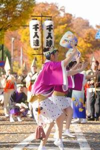 八王子いちょう祭り4