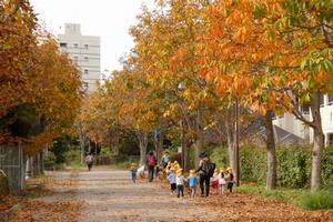 秋の風景(南大沢周辺)1