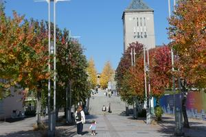 秋の風景(南大沢周辺)2