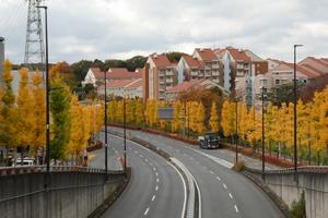 秋の風景(南大沢周辺)4