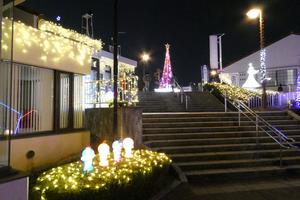 イルミネーションフェスタ2