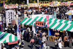 八王子いちょう祭り2